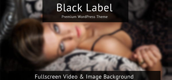 Black Label 全屏视频/图片背景展示 WordPress主题模板