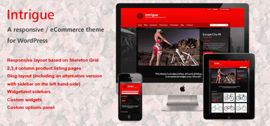  Intrigue Shopping WordPress Theme