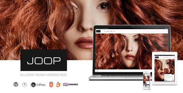  JOOP full screen shopping works display album WordPress theme