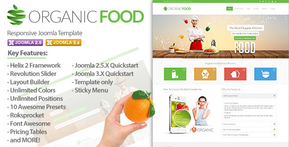 Organic Food 绿色食品保健品 Joomla模板主题