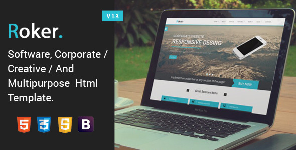  Responsive Roker Enterprise HTML5 Template Adaptive Source Code