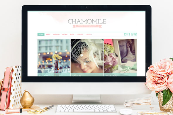 Chamomile-Creativemarket-WordPress-Theme