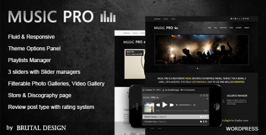 Music-Pro-Music-Oriented-WordPress-Theme-540x274