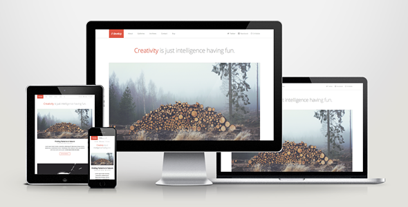 Develop-Responsive-WordPress-HTML5-CSS3-Theme