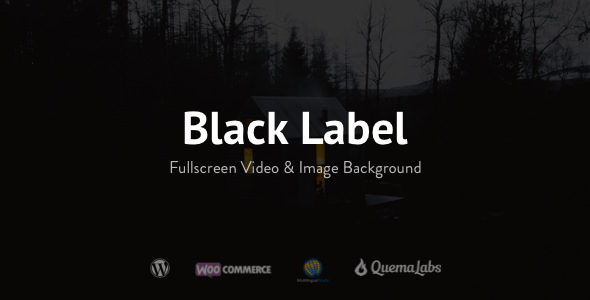 Black Label 全屏视频图片网站WordPress主题