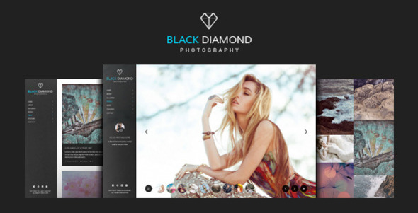 DIAMOND - 摄影造型艺术WordPress主题汉化版