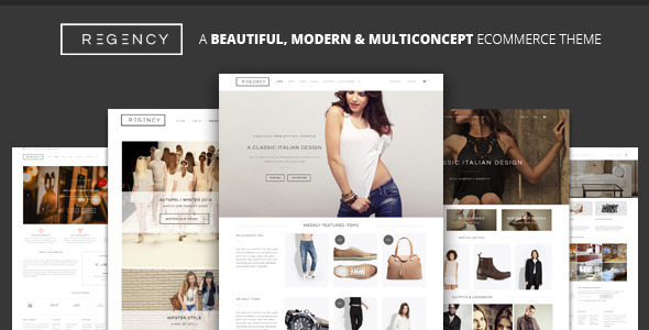 Regency-A-Beautiful-Modern-Ecommerce-Theme