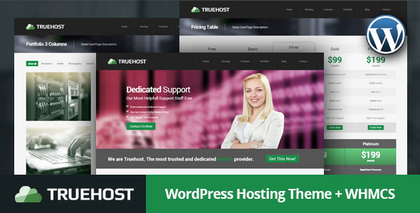 Truehost 域名主机 WordPress主题