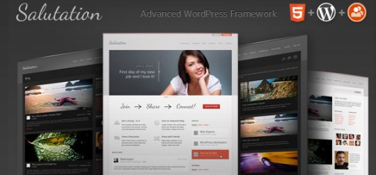 Salutation v3.0.17 - 强大商务WordPress主题+BuddyPress