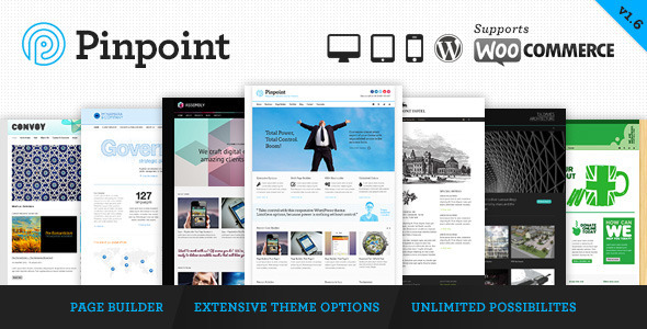 Pinpoint 响应式多用途WordPress主题
