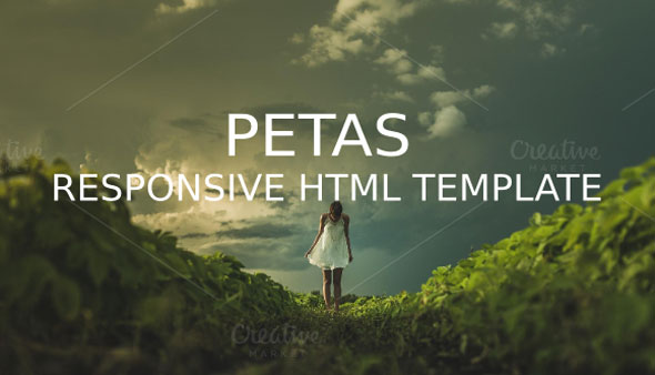 Petas 自适应多用途 HTML5网站模板