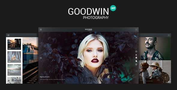 GoodWin - 摄影相册产品展示模板WordPress主题