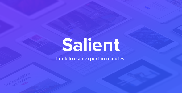 Salient - Creative Multipurpose & WooCommerce Theme