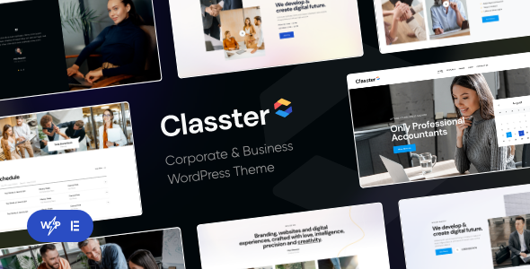 Classter - 丰富多彩多功能网站模板wordpress主题