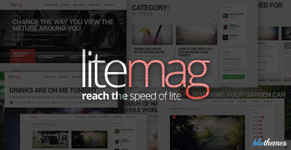 LiteMag 极简杂志 WordPress主题 v1.5