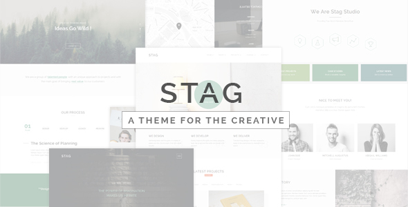 Stag - 全屏作品展示网站WordPress汉化主题
