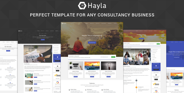 Hayla v1.1 - 咨询业务网站HTML5模板