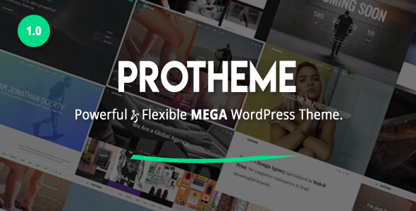 Protheme v1.1.2 - 强大而灵活大型WordPress主题