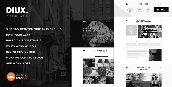  Diux - One Page Responsive HTML Template