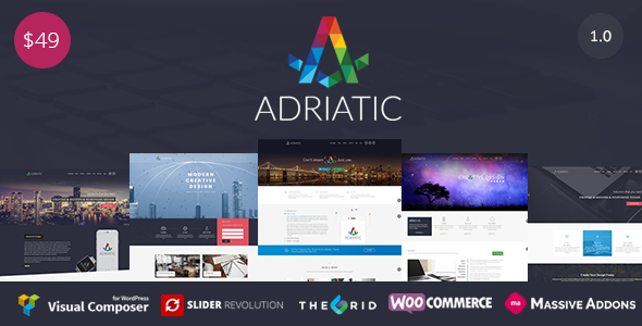 Adriatic v1.0.6 - 响应式多用途WordPress主题