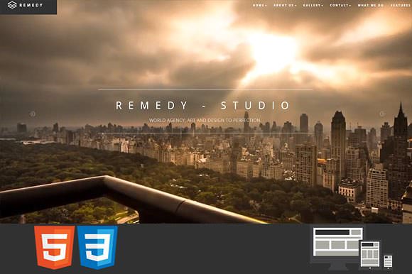 Remedy 单页/多页HTML模板