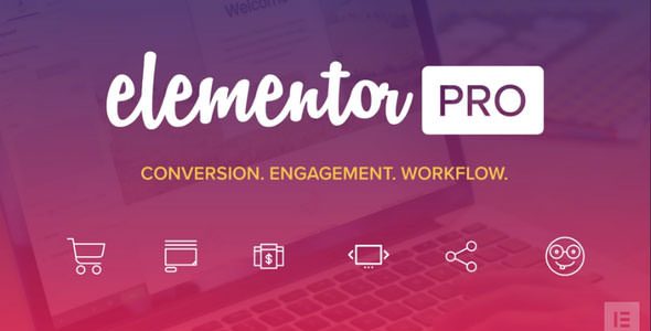 Elementor Pro - The Most Advanced Website Builder Plugin