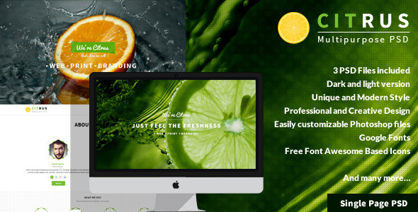 Citrus - 高级单页PSD模板