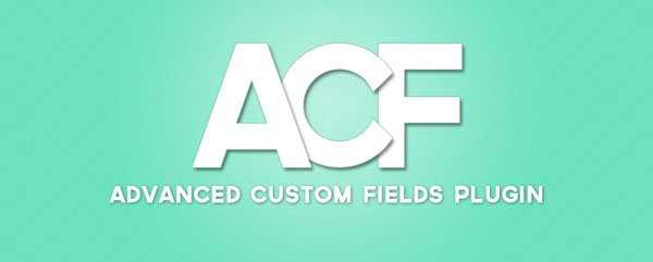 Advanced Custom Fields Pro - 高级自定义字段专业版WordPress插件