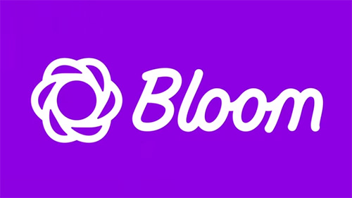 Bloom - 电子邮件WordPress插件