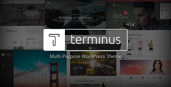Terminus - 响应式多用途网站模板WordPress主题