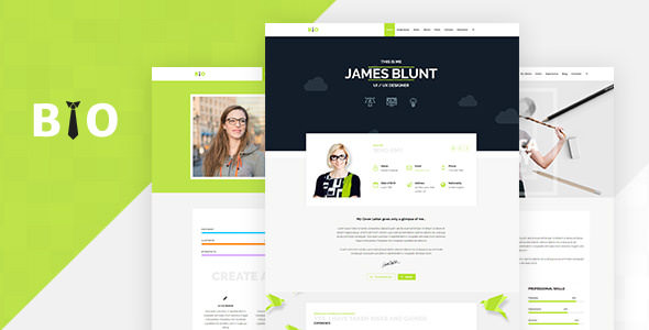 Bio v1.1 - Resume, CV, Freelancer WordPress Theme