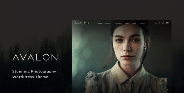 Avalon - 作品相册网站模板WordPress主题