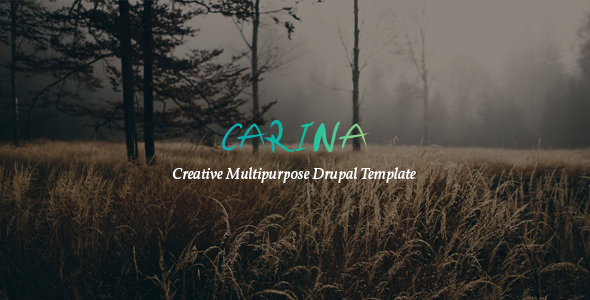 Carina v1.0 - 创意多用途Drupal 8模板