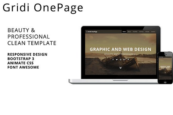 Gridi OnePage v1.0.0 - 美容/专业保洁模板