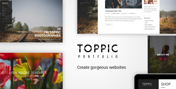 TopPic - 专业摄影艺术WordPress主题