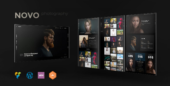  Novo - Photography exhibition website template WordPress Chinese theme