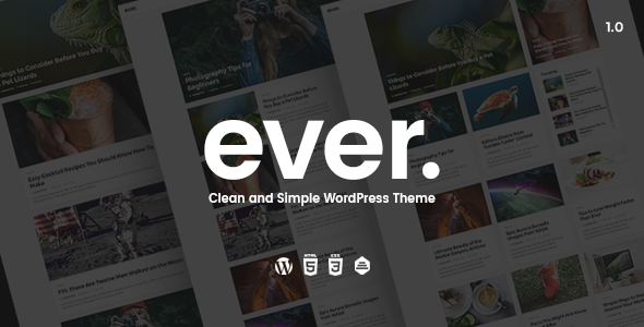 Ever - 简约干净WordPress主题