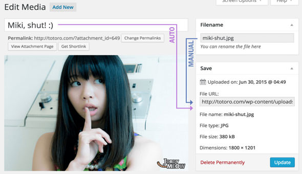 Media File Renamer Pro 媒体文件自动重命名WordPress插件