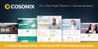 Cosonix - 电子书单页WordPress主题
