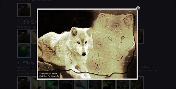 Galpop - 响应式相册图片lightbox插件