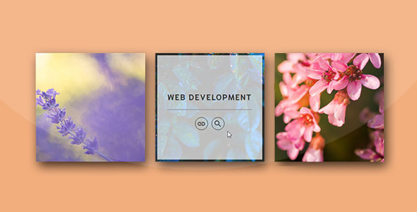 CSS3鼠标悬停图片动画特效