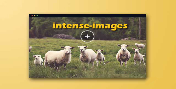 intense images 图片全屏动态展示js插件