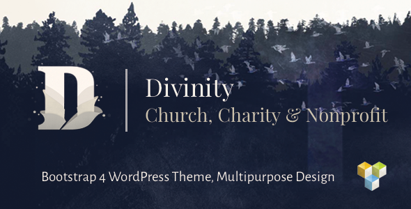 Divinity - 教堂非营利慈善WordPress主题