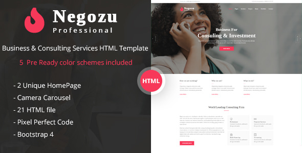 Negozi  - 商业咨询服务HTML模板