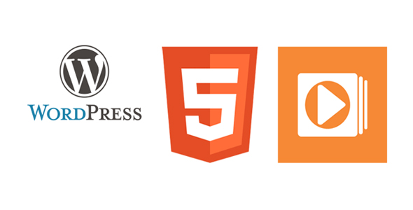 WordPress多格式视频播放插件 Easy Video Player