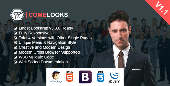 ComeLooks  - 多功能商务HTML模板