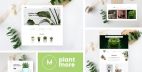 Plantmore - 鲜花绿植在线商店WooCommerce模板