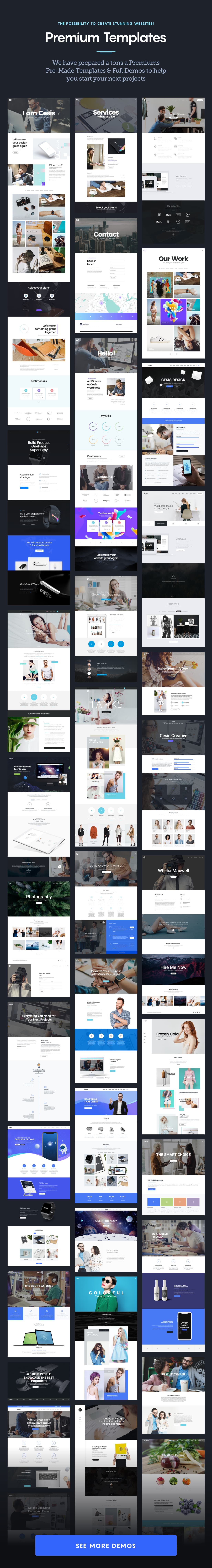 Cesis - Responsive Multi-Purpose WordPress Theme