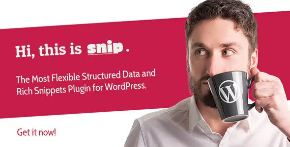 SNIP - 结构化数据WordPress插件