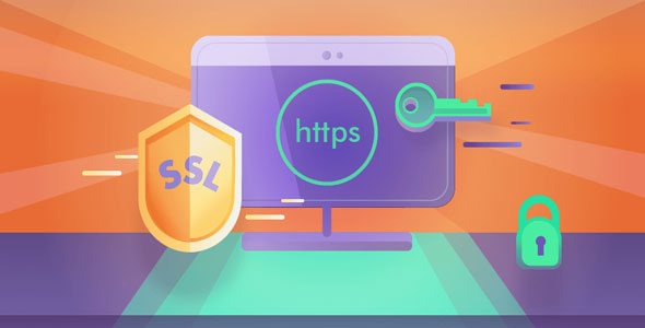 Really Simple SSL Pro - 简单SSL设置专业版